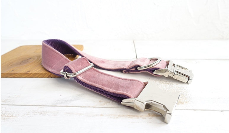 Pet Traction Collar for Dogs – Adjustable, Durable & Secure Anti-Pull Design