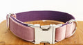 Pet Traction Collar for Dogs – Adjustable, Durable & Secure Anti-Pull Design