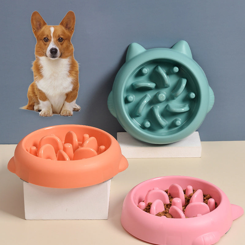 Anti-Choke Slow Feeder Bowl – Healthier Mealtimes for Dogs & Cats!