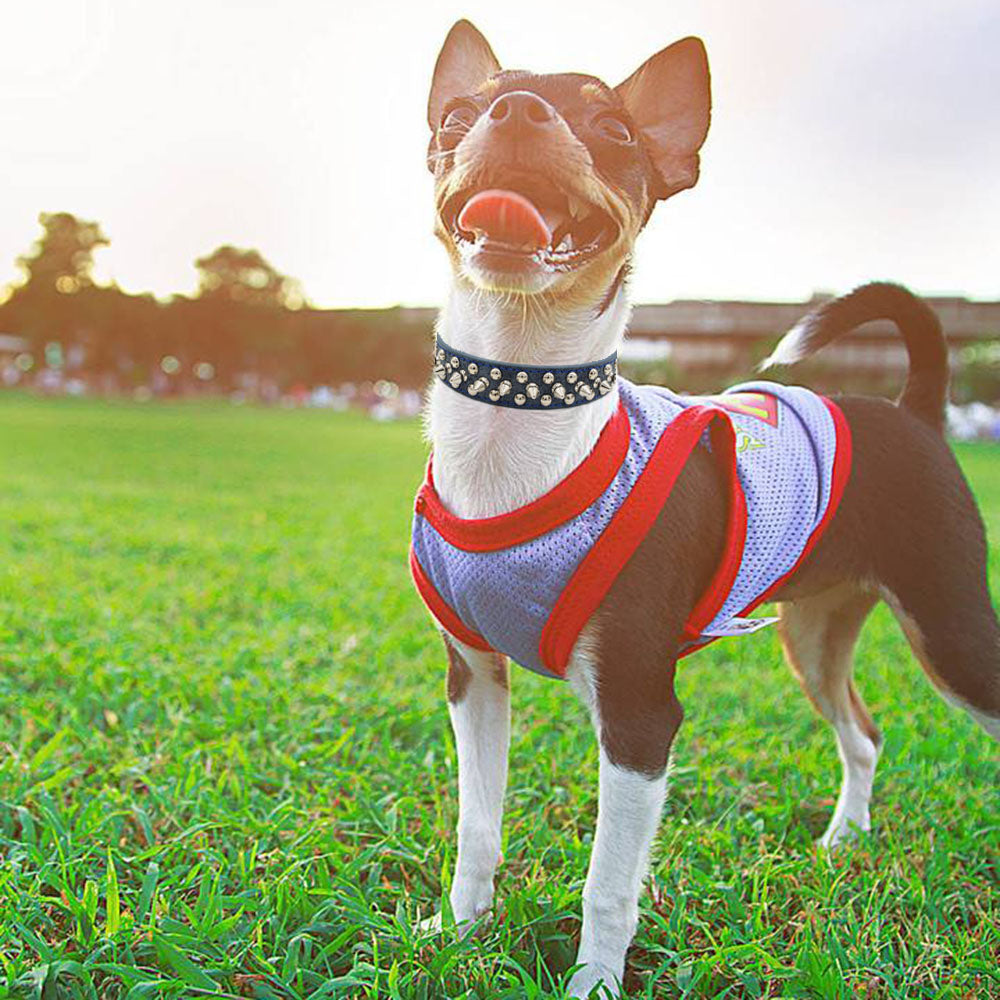 Adjustable Rivet Pet Collar for Dogs and Cats – Durable & Stylish Everyday Wear