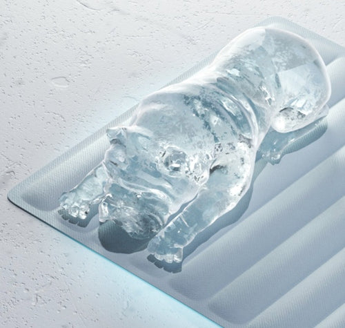 Cooling Gel Pet Mat – Self‑Cooling, Pressure‑Activated & Summer‑Comfort Mat for Dogs & Cats