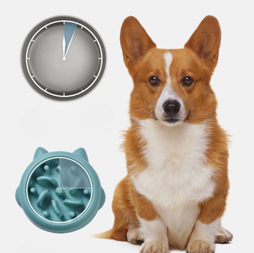 Anti-Choke Slow Feeder Bowl – Healthier Mealtimes for Dogs & Cats!