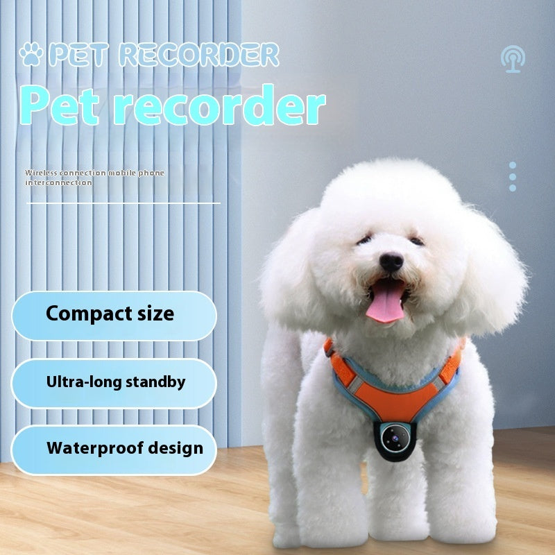 Pet Camera Collar for Dogs and Cats – HD, Lightweight & Adjustable Collar Camera