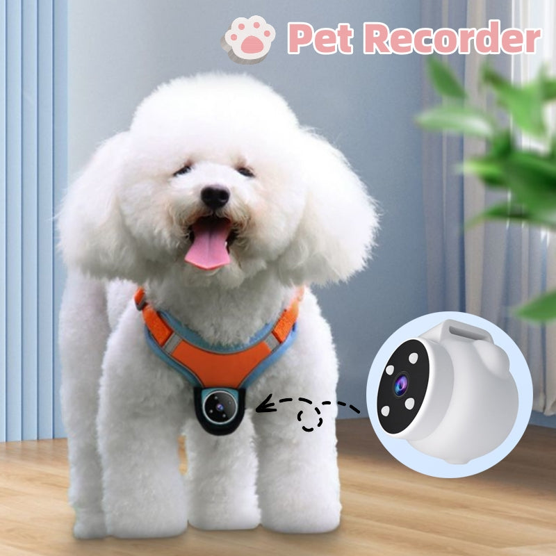 Pet Camera Collar for Dogs and Cats – HD, Lightweight & Adjustable Collar Camera